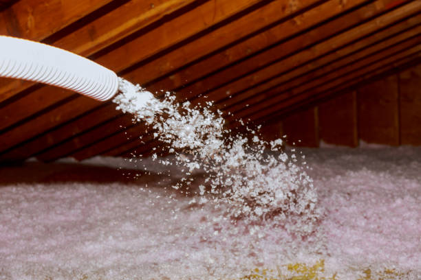 Best Specialized Insulation Services in Experiment, GA
