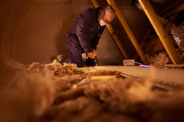 Best Insulation Maintenance and Repair in Experiment, GA