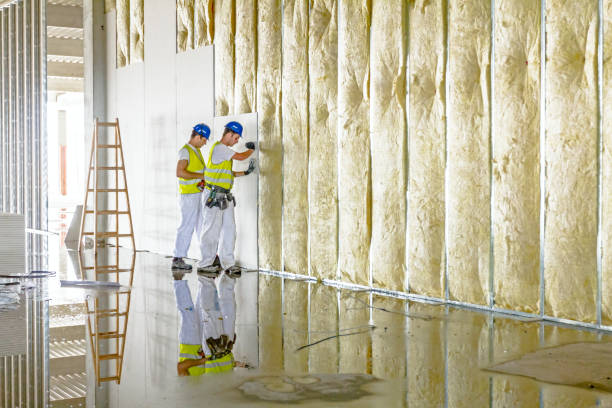Best Energy Efficiency Insulation in Experiment, GA
